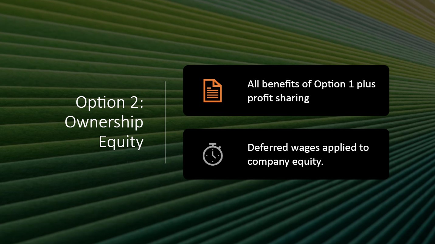 Option 2: Ownership Equity